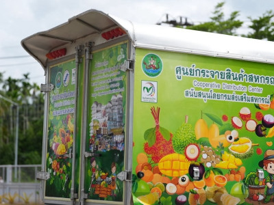ส่องเส้นทาง “เงาะโรงเรียน” สินค้าจีไอ (GI) จ.สุราษฎร์ธานี ... พารามิเตอร์รูปภาพ 8